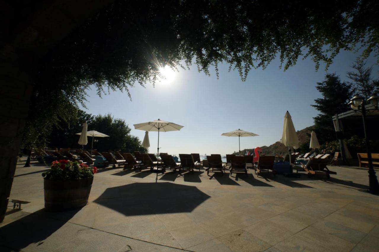 Terre Brune Hotel Mzaar Kfardebian Exterior photo