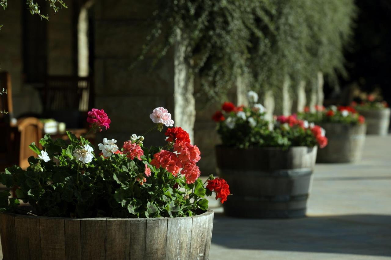 Terre Brune Hotel Mzaar Kfardebian Exterior photo